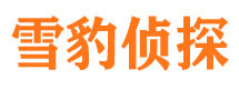 马尾找人公司